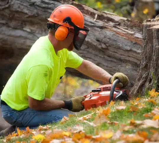 tree services Portageville